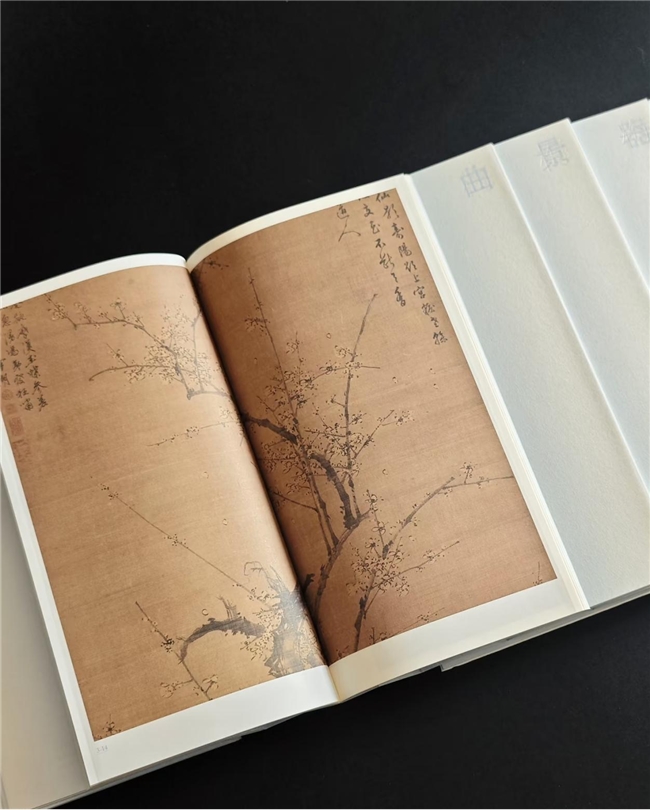 《梅鉴》斩获英国 D&AD 木铅笔奖，首次完整梳理中国梅文化脉络 - 图6