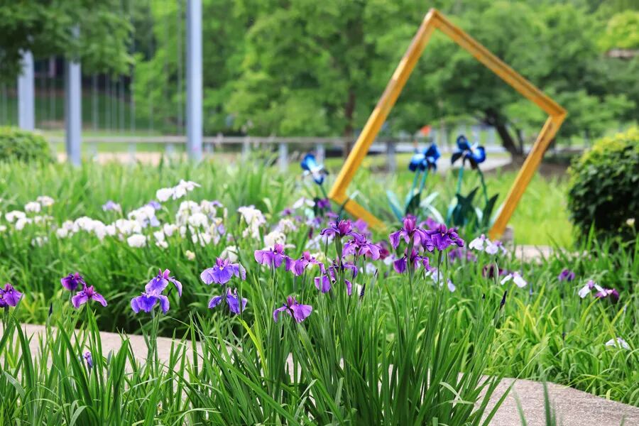 5月29日·上海早新闻 - 图5