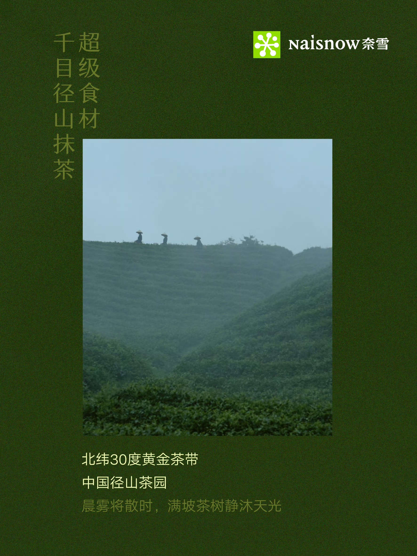 茶饮旺销 茶产业兴——奈雪以优质抹茶茶饮助力产业链升级 - 图2