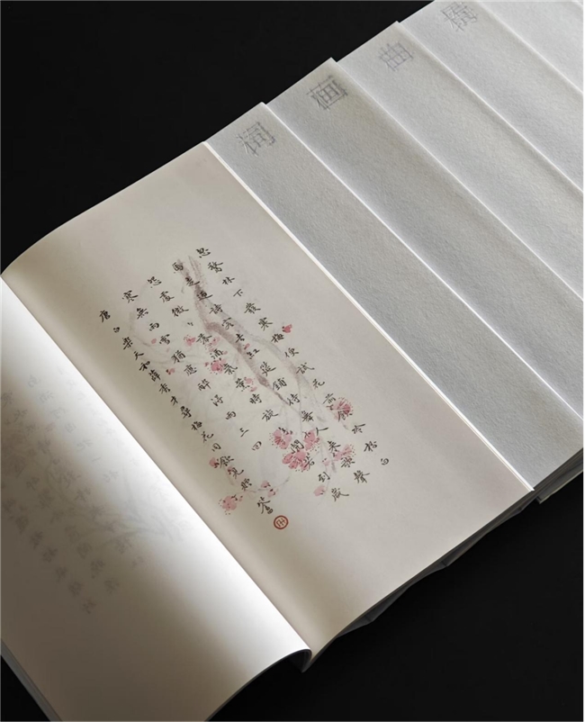 《梅鉴》斩获英国 D&AD 木铅笔奖，首次完整梳理中国梅文化脉络 - 图4