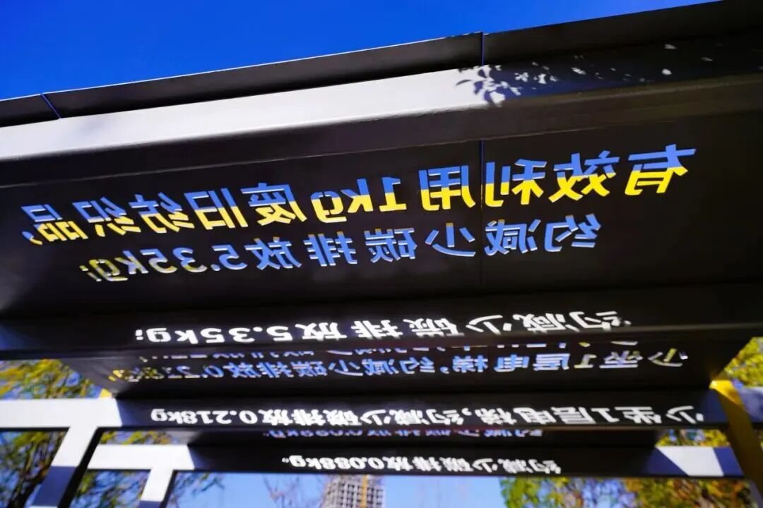 彭瑞高：碳路者 - 图2