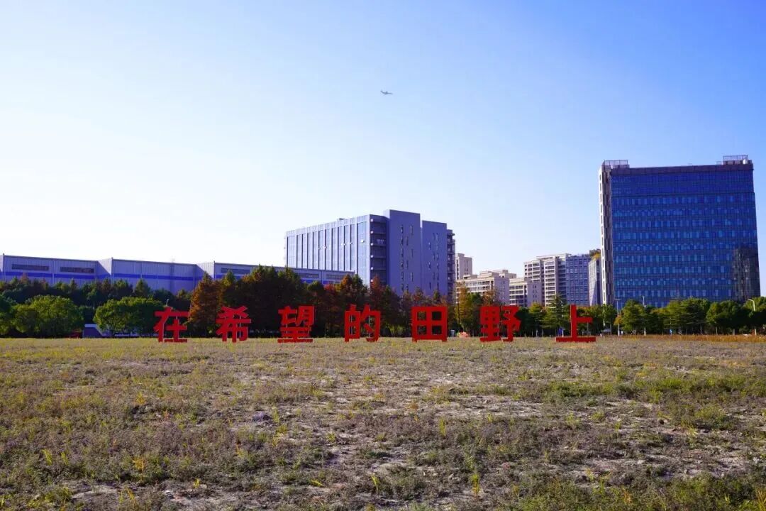 彭瑞高：碳路者 - 图3