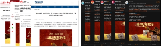 德力西电气开门红再度斩获第十七届虎啸奖 - 图8