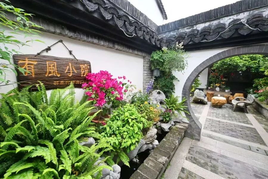 上海版“有风的地方”：江南老宅邂逅云南的风！这个离市区最近的乡村成功逆袭 - 图1