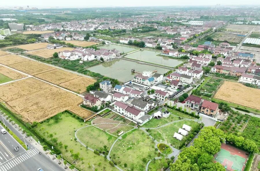 上海版“有风的地方”：江南老宅邂逅云南的风！这个离市区最近的乡村成功逆袭 - 图11