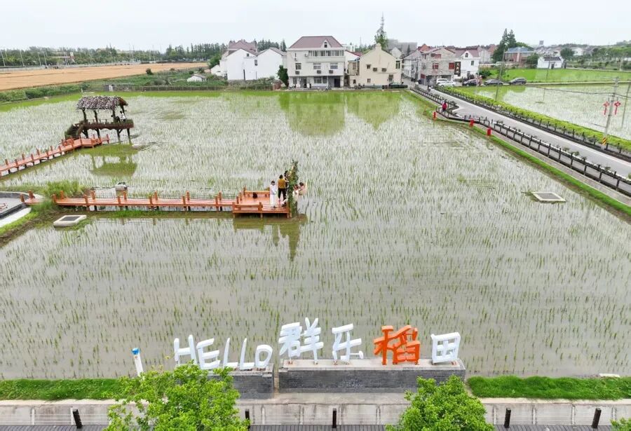 上海版“有风的地方”：江南老宅邂逅云南的风！这个离市区最近的乡村成功逆袭 - 图8
