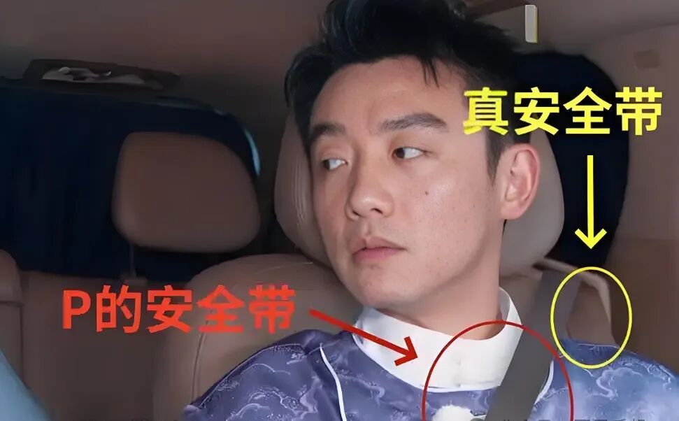 某综艺节目被指“一车安全带全是P上去的”，公安部交通管理局：安全容不得自欺欺人，明星更应以身作则 - 图6