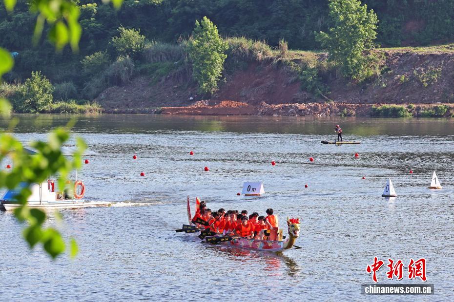 湖北宜昌：龙舟竞渡“桨”动峡江 - 图3
