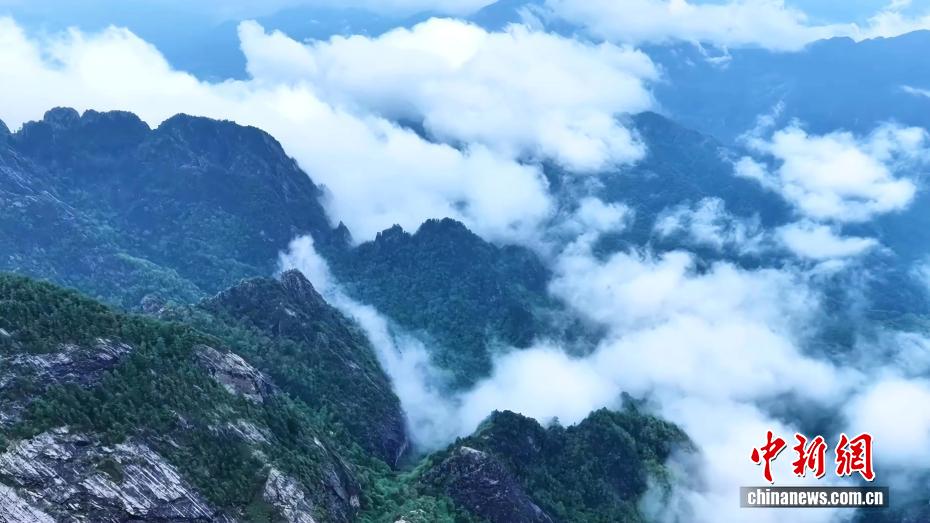 初夏秦岭美如画 云海翻涌绿意浓 - 图5