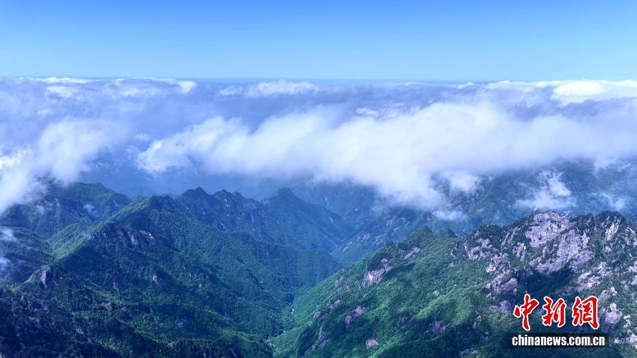 初夏秦岭美如画 云海翻涌绿意浓 - 图6