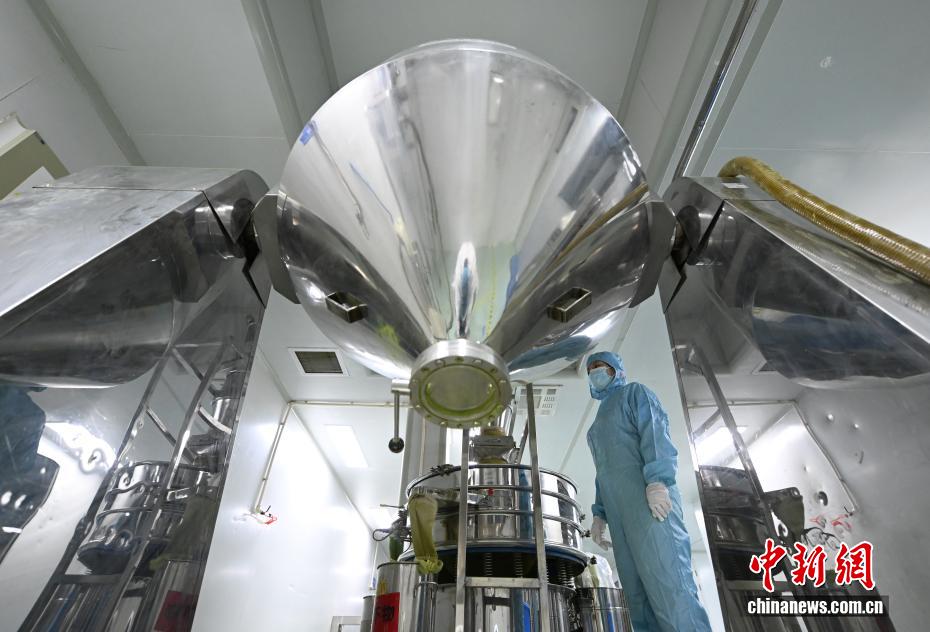 全球消费者青睐健康饮品 浙江抹茶出口热度飙升 - 图3