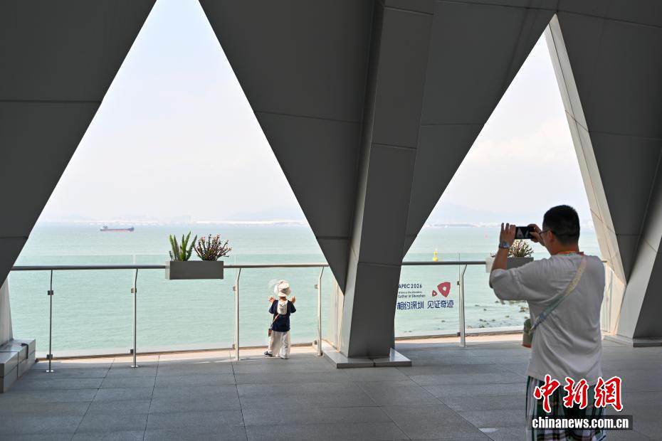深中通道西人工岛将打造机器人服务智慧酒店 - 图6