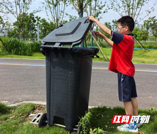守护湿地生态之美 争做环保小小卫士 - 图3