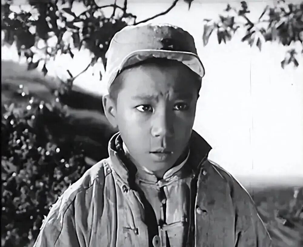 著名导演、演员蔡元元去世，享年84岁，《鸡毛信》中“海娃”成银幕经典形象 - 图2