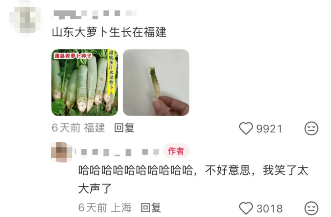 “本人于2026年5月种出了番茄，望周知” - 图6