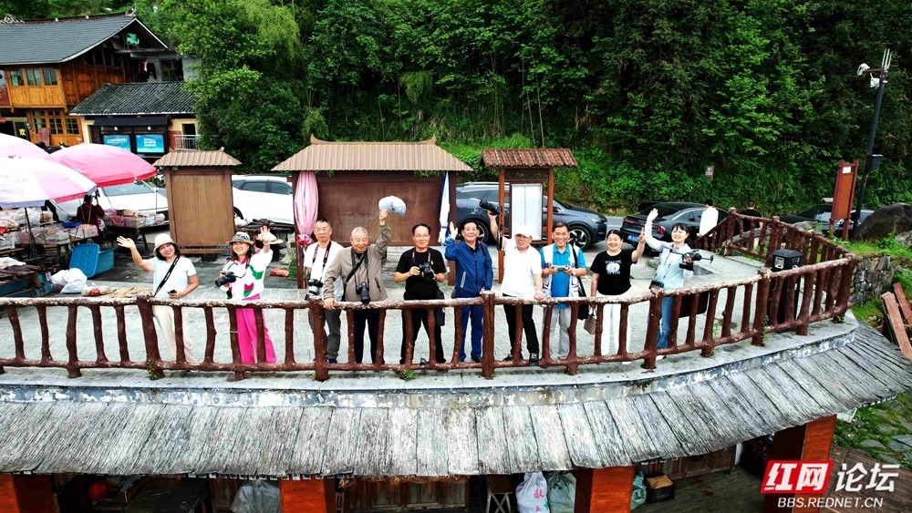梯田秘境遇佳人：初夏紫鹊界的国风浪漫 - 图2