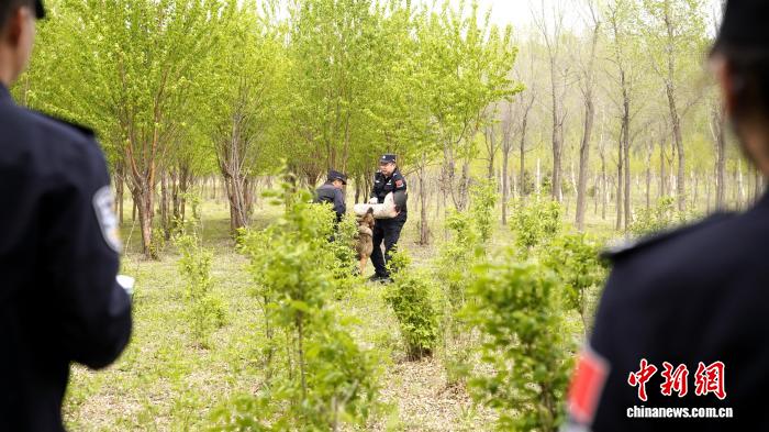 4地边检总站98名带犬民警入班培训 - 图2