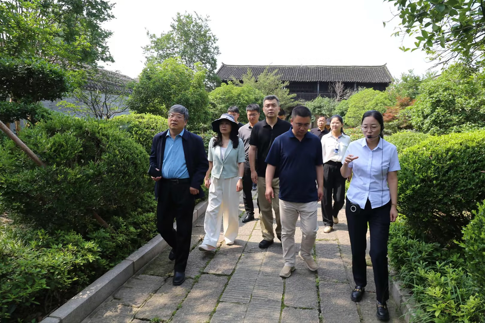 “红绿融合”绘就大悟县县域经济高质量发展新画卷 - 图1