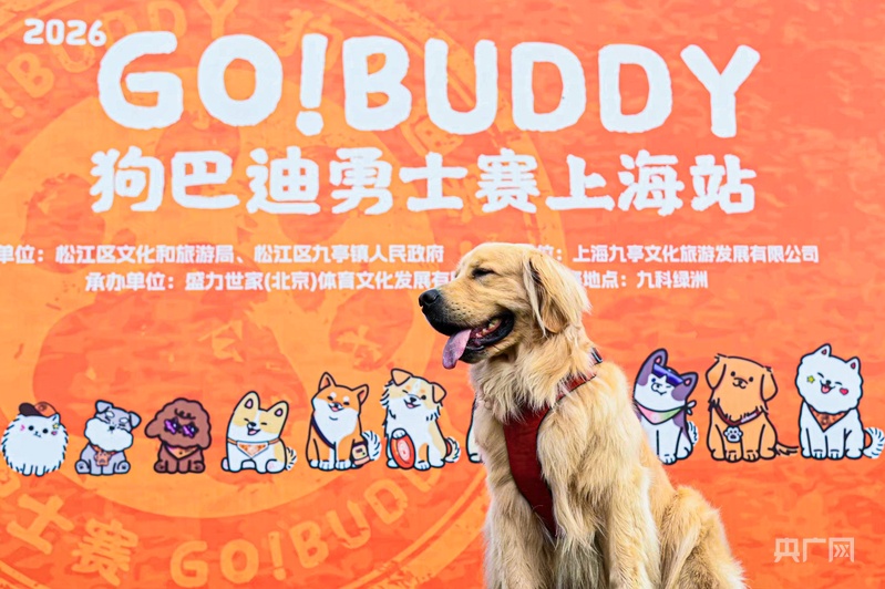 汪汪队出击！上海松江260组人犬搭档挑战3公里障碍赛道 - 图2