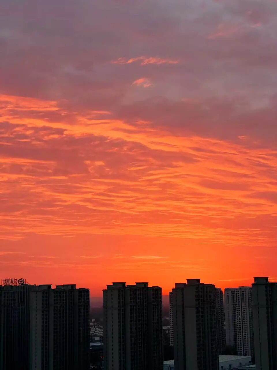 美得很！被郑州今早的朝霞惊艳到了 - 图2