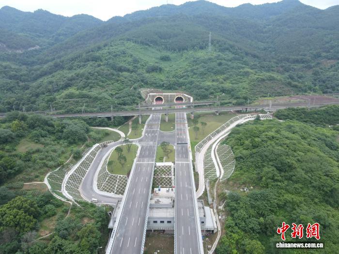 重庆快速路五横线关键节点工程通车 - 图3