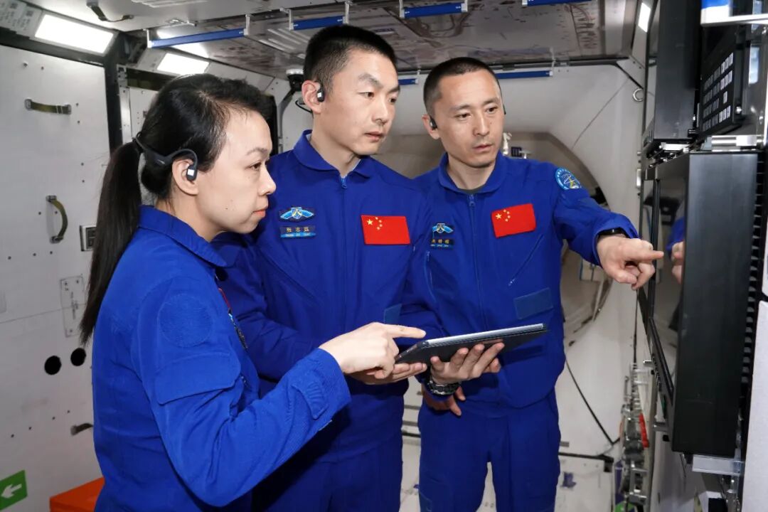 「高考作文素材」家国与梦想——紫荆花绽放星辰大海｜大象夜读 - 图14