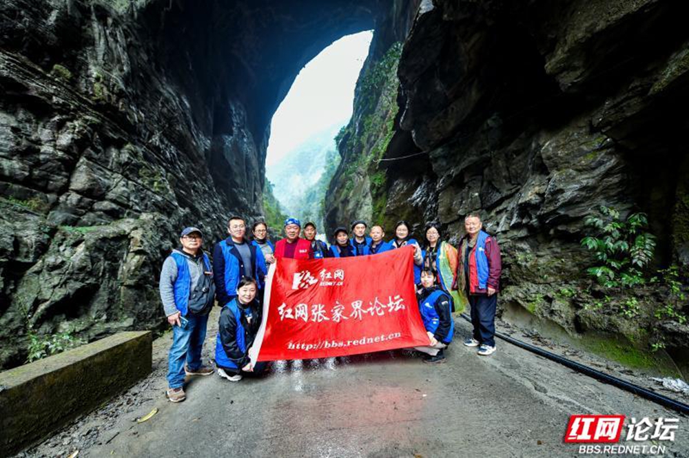 编织大爱网络，见证一路长红——我与红网的十九年情缘 - 图1