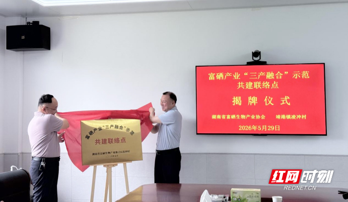 湖南省富硒生物产业协会党支部把技术服务送进田间地头 - 图3