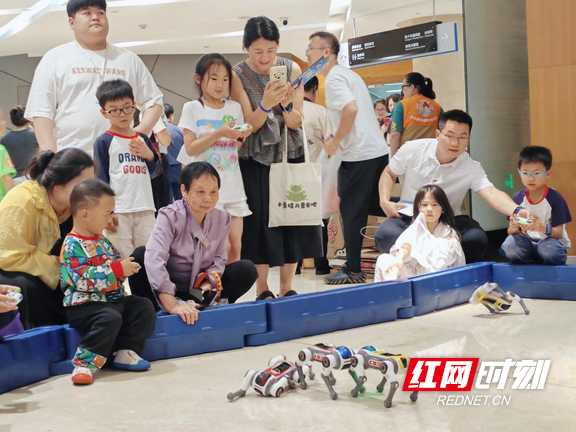 夜宿书香！长沙图书馆“阅读+科技”点燃少年科创梦 - 图2