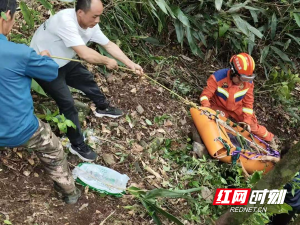 炎陵一男子深山采药坠崖，多部门联合奋战8小时救回 - 图2