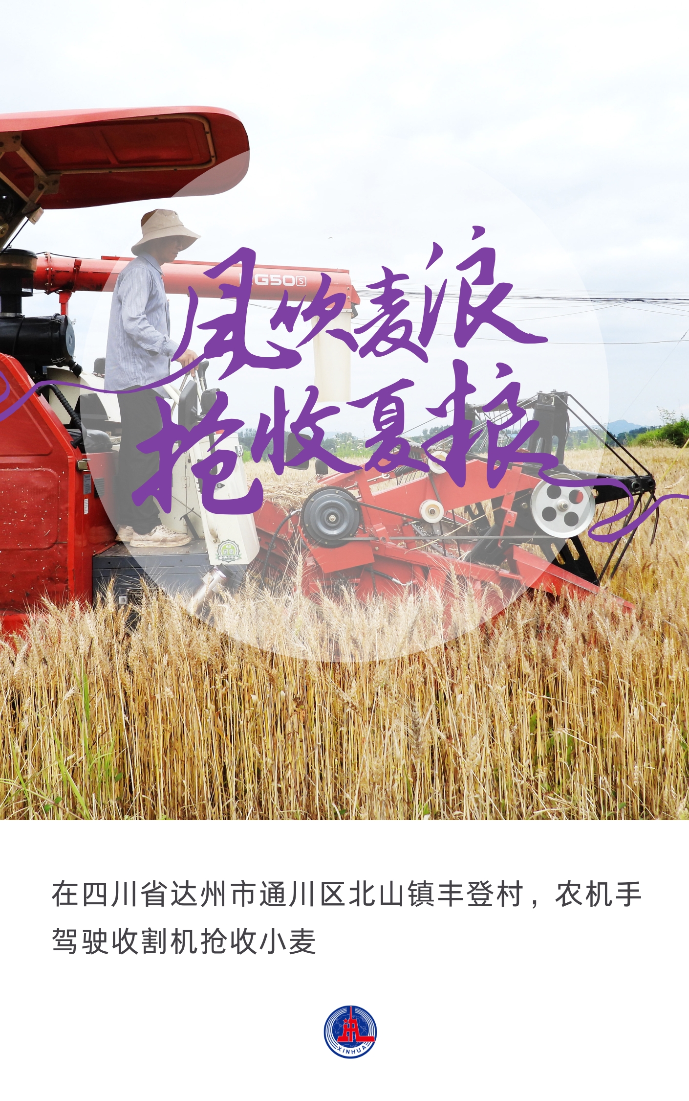 （图表·海报）风吹麦浪 抢收夏粮（7） - 图1