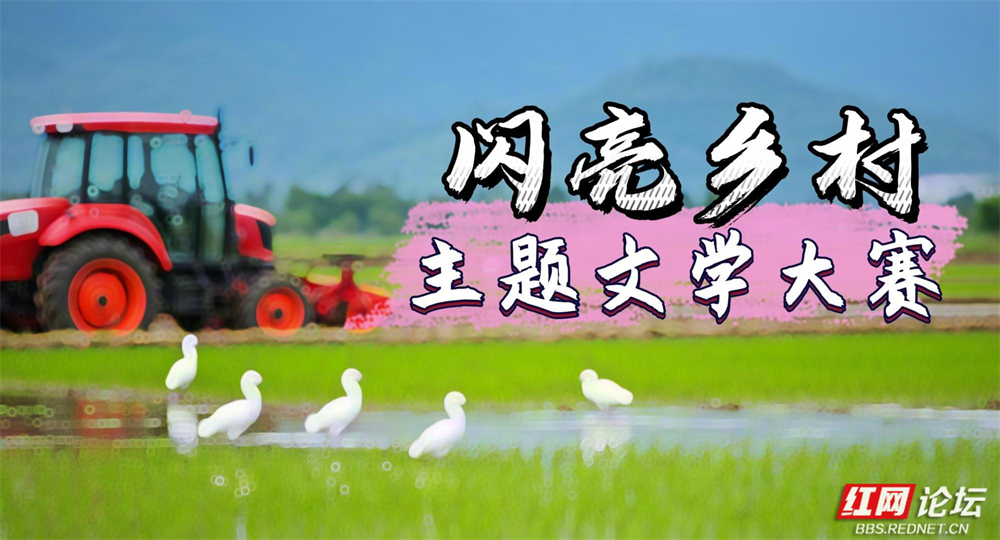 提笔相伴25年，红网是我的另一个“家” - 图2