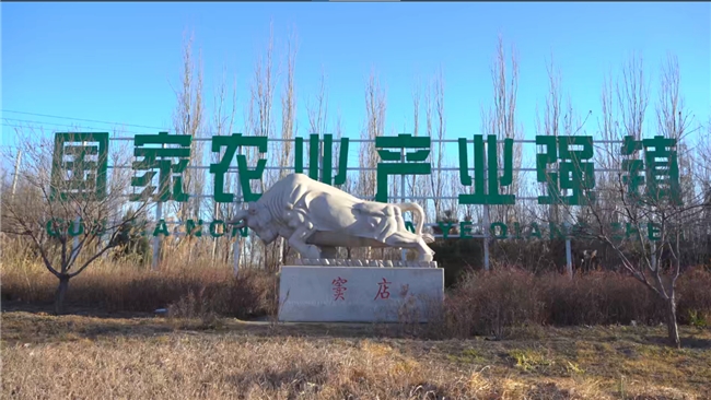 首创集团所属北京农投公司以农业融资担保“链式金融”串起乡村振兴“金链条” - 图1