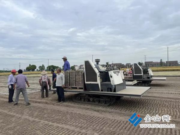 江苏镇江：硬核科技加持育秧渐近智能“新农人”解锁水稻育秧新模式 - 图3