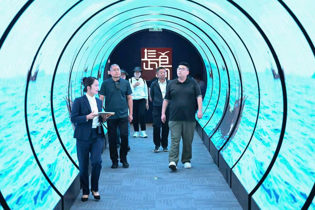 从1.8万亩养殖清退到87%自然岸线：长岛这盘“生态棋”下得有多大？ - 图1