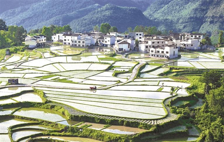 贵阳花溪：石门梯田 美如画 - 图1