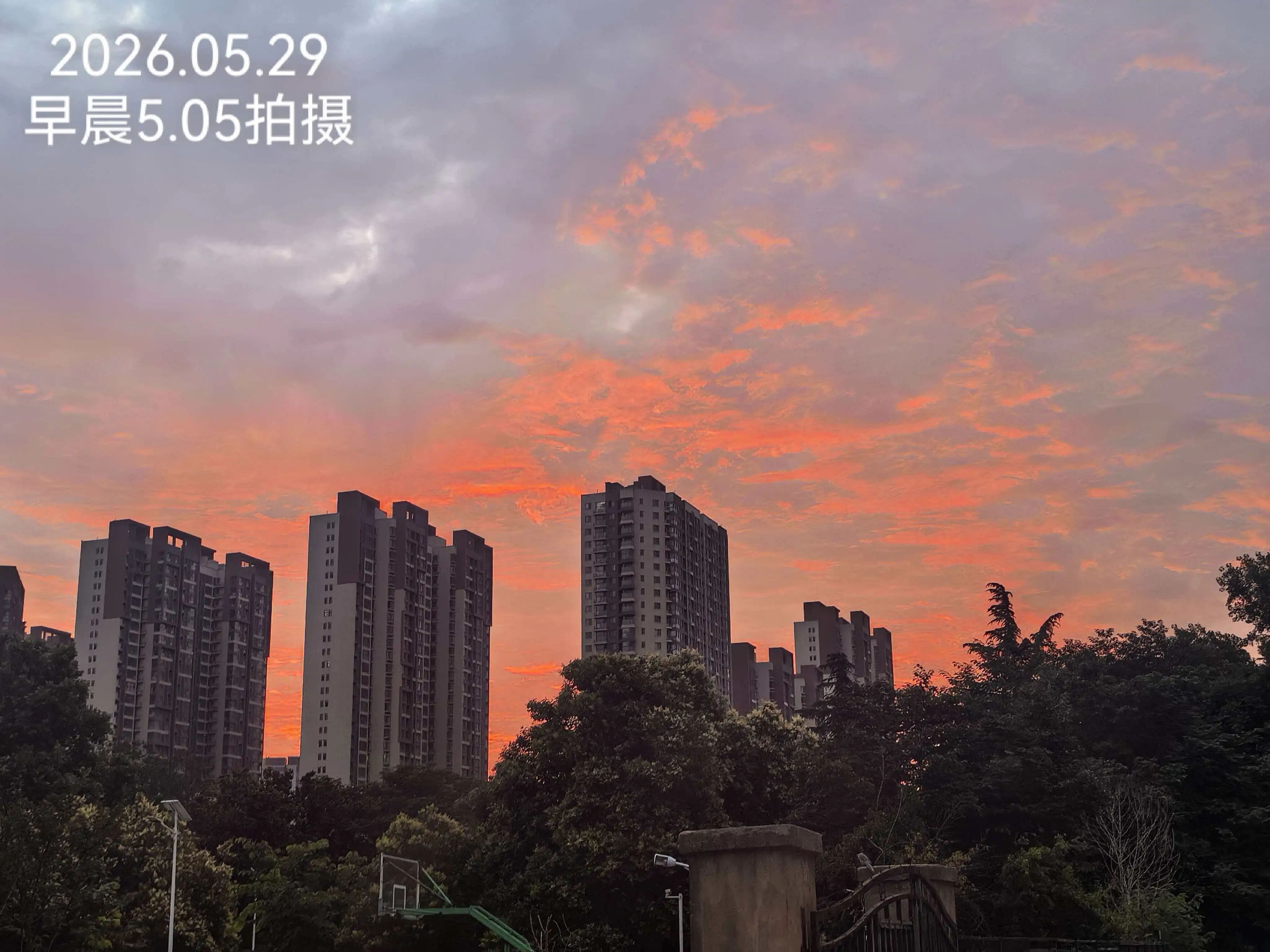 美得很！被郑州今早的朝霞惊艳到了 - 图5