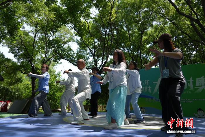 20余位海外华教从业者河南温县习练太极拳 - 图5