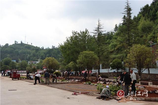 宣威乐丰：全面掀起绿美建设热潮绘就生态宜居画卷 - 图2