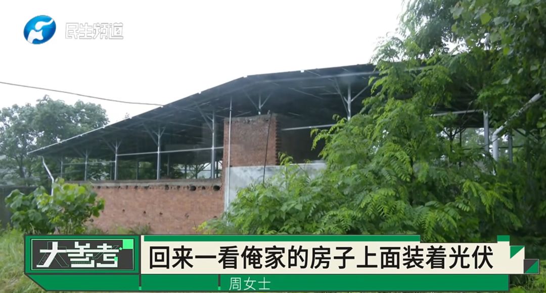 “感觉妈妈彻底走了！”女子20年老宅被亲戚擅装光伏板，母亲种的树全被砍 - 图4