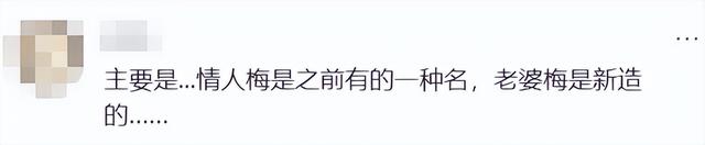 女子吐槽“同享老婆梅同享情人梅”包装引不适，反被发律师函要求道歉7天，当事人：7天不够，我连道歉30天；品牌：全部召回，永久下架 - 图9