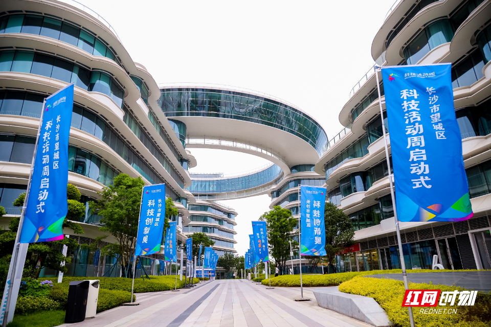 科技向新 服务向实！2026年长沙市望城区科技活动周启动 - 图1