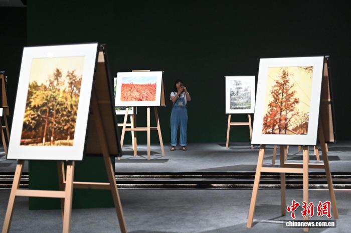 广州：“葵山——许江艺术展”媒体导览活动举行 - 图2