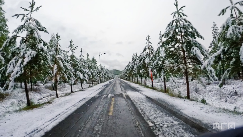 六月，来内蒙古根河看夏雪奇观！ - 图1