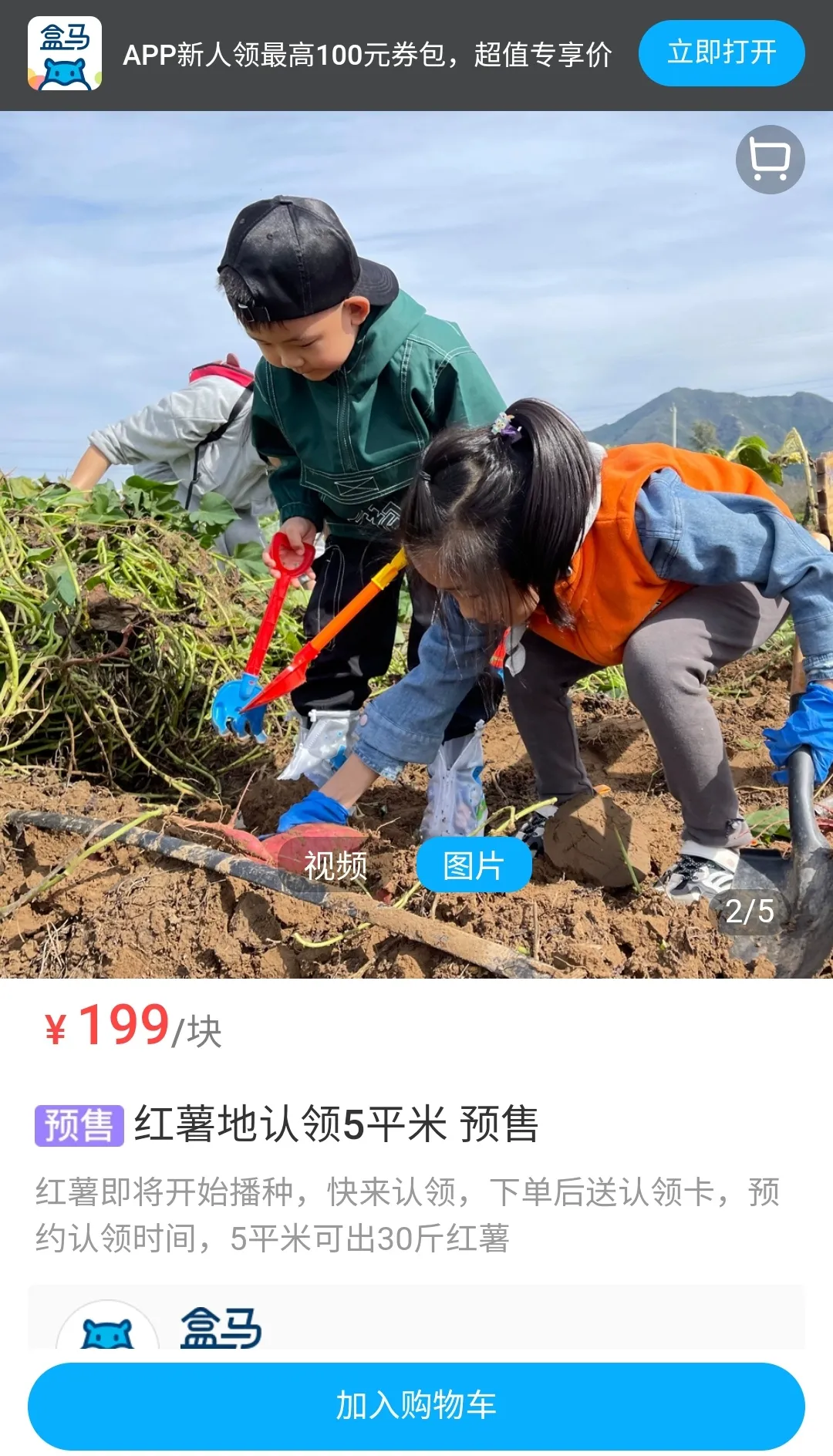 盒马版“QQ农场”来了！自己租菜园种菜，你感兴趣吗？ - 图8