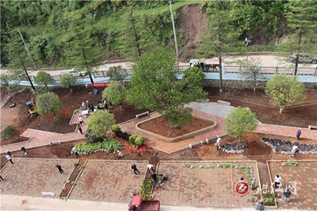 宣威乐丰：全面掀起绿美建设热潮绘就生态宜居画卷 - 图1