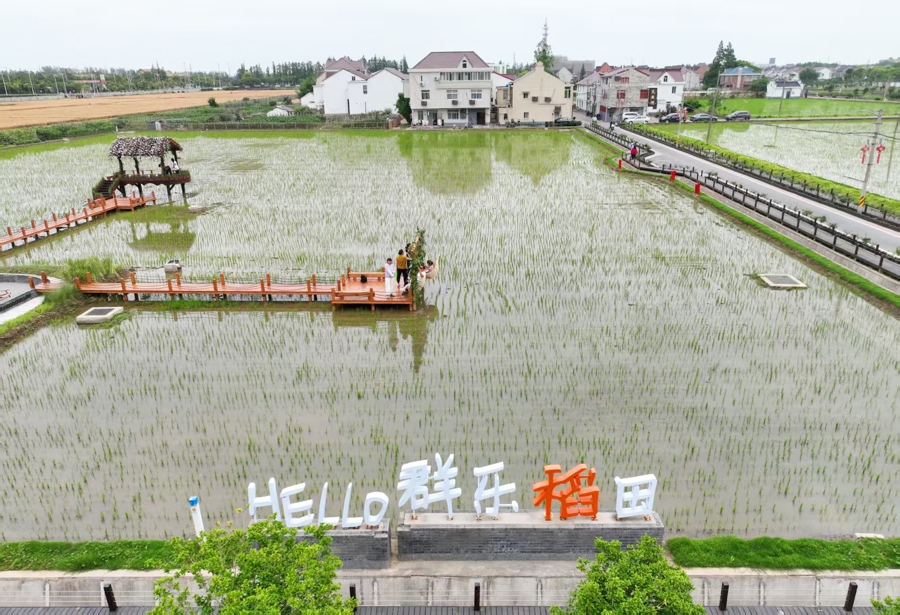 去有风的地方乐活乐业，曹路群乐村探索城乡融合发展新路子｜申观察 - 图4