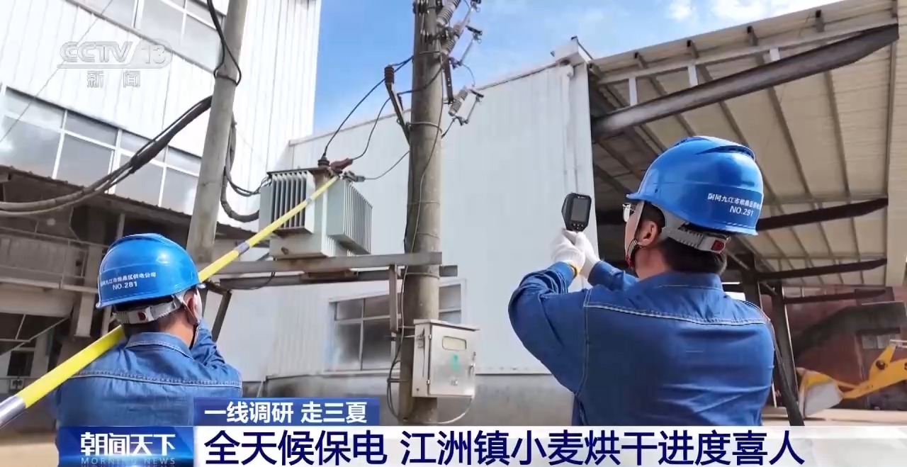一线调研丨二次烘干+全天候保电 九江江洲镇全力抢收抢烘保麦收 - 图8