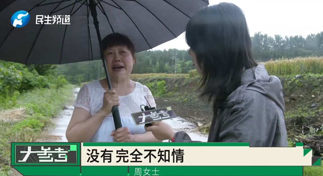 “感觉妈妈彻底走了！”女子20年老宅被亲戚擅装光伏板，母亲种的树全被砍 - 图15