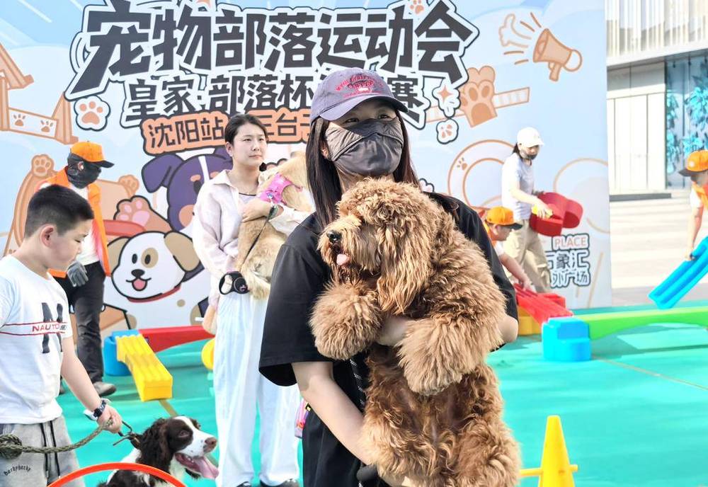 萌宠“比拼” 可爱爆表 - 图3